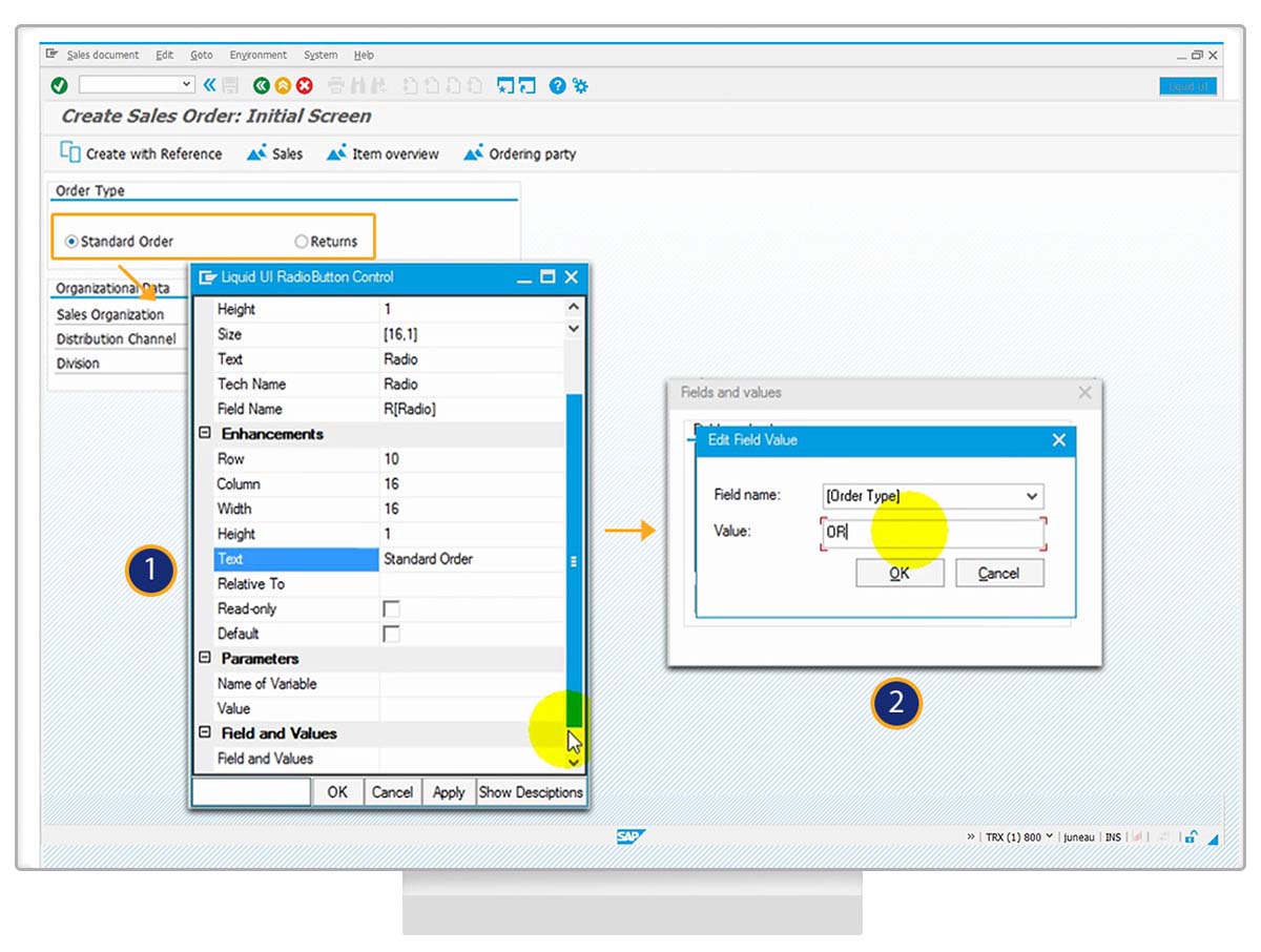 Desktop - SAP Customization Within SAP GUI