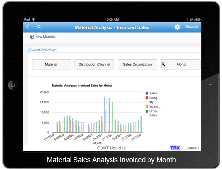 Material Analysis Invoiced Sales By Months
