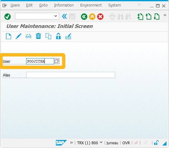 Liquid Ui Documentation 4 10 Configuring Snc In Sap Gui For