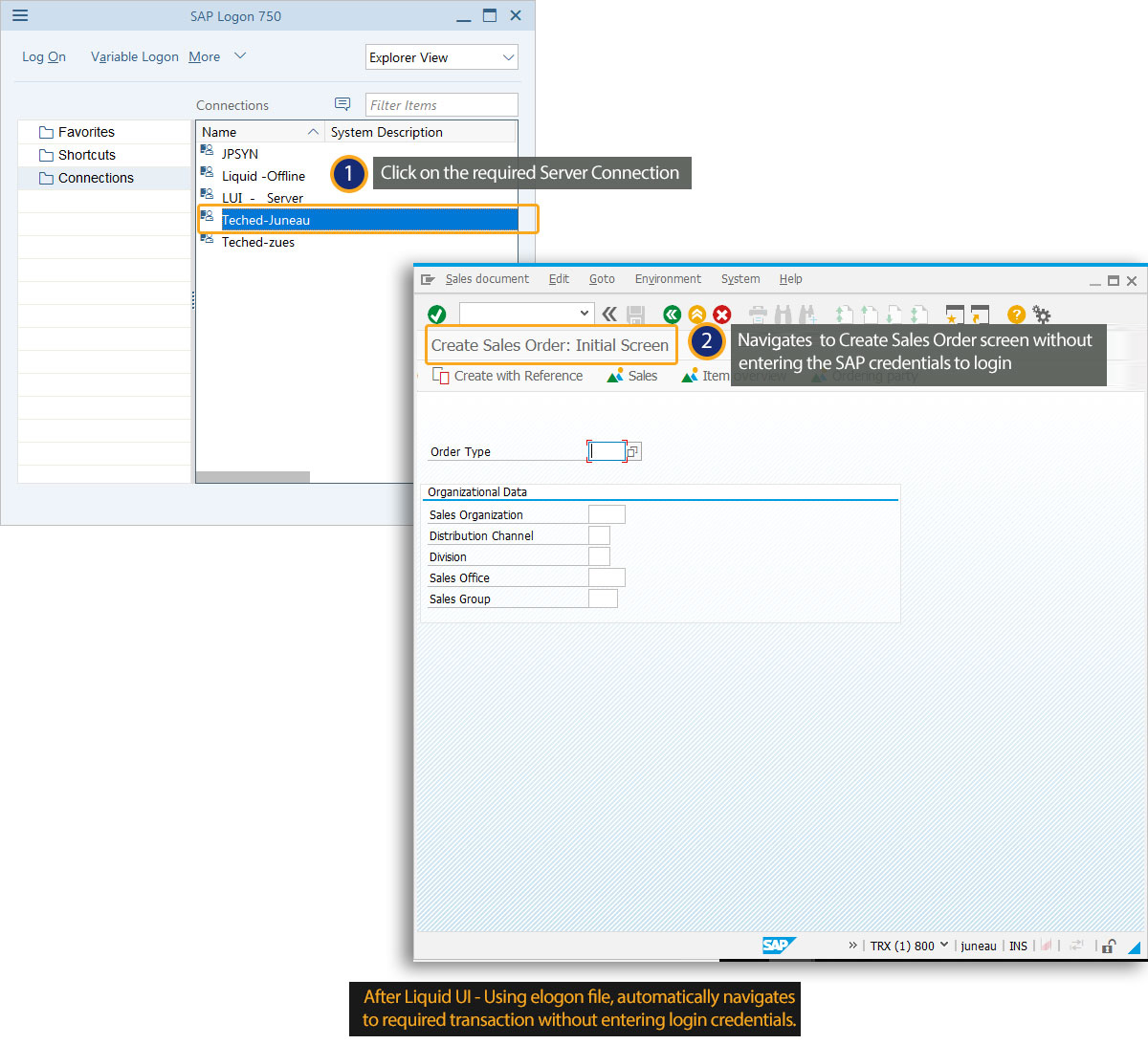 Liquid Ui Documentation 4 10 Auto Logon On Sapgui
